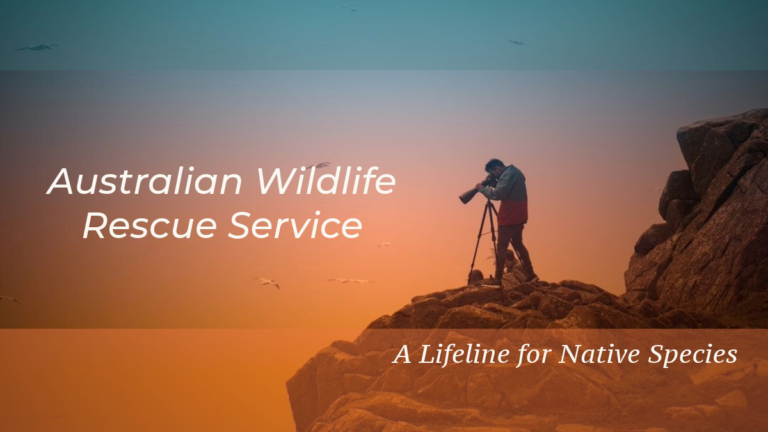 australian wildlife rescue service