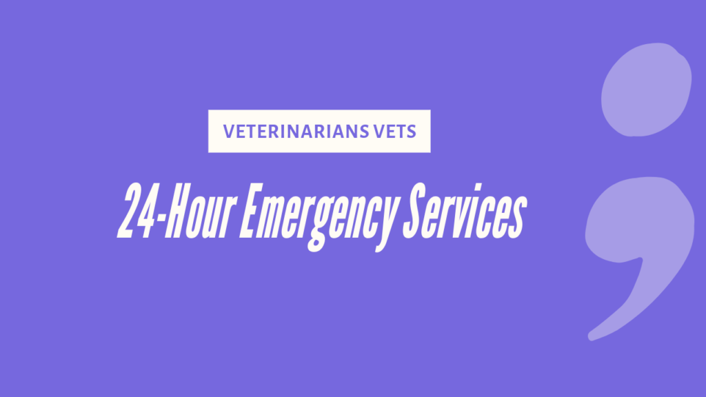 veterinarians vets 24 hour emergency services