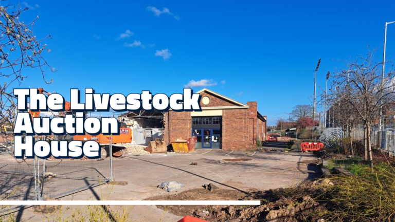 Livestock Auction House